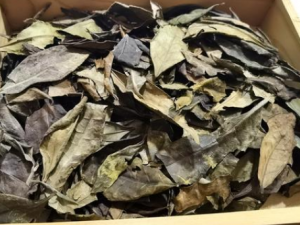 �˹�ɢ�Ĺ�Ч���� �˹�ɢ�÷�������������