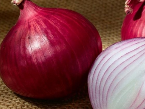 ǰ�������������ճ�����������ЩҪע���