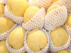 ���ٰ����ߵ���ʳ���� ���ٰ������ٳ���Щʳ��