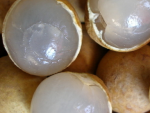 ʮ����ˮ�������ݹ�Ч ��Ҫ�����ò�������Щˮ��