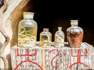 ����ҩ������Щ��Ч ����ҩ�ƿ�����ɢ����Ѫ���