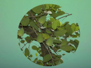 �����ٵĹ�Ч���� ��������һ���ʹ