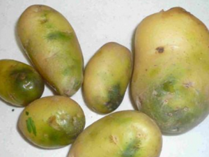 ���̵�������ʲôΣ�� ���̵��������ܳ���