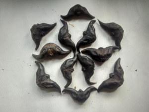 �������Щ��Ч �����ͷ���ˮ��