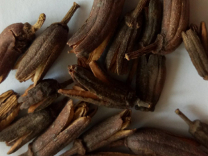 ����������Щ��Ч �������ν�����