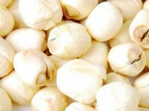 �������Ⱦ��ԭ�� �������Ⱦ�������