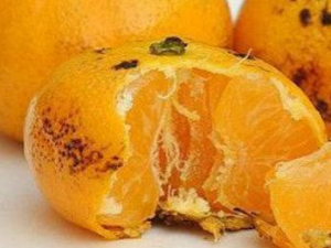 ��Ҷ�Է�������ô���� ��Ҷ�Է��׵�����ƫ��