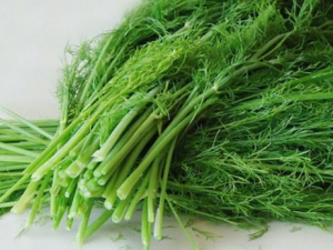 С�����ҩ�ü�ֵ Ů�������С��������