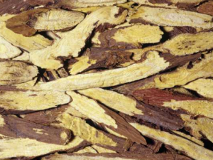 ���Ը�����Ĺ�Ч ���Ը���������ʳ�����������ʹ