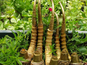 ���������Щ��Ч ��������δ����ķ������ȶ���