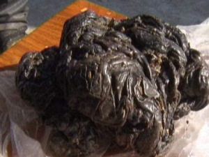 ��Ӥ��Чɢ�Ĺ�Ч ��Ӥ��Чɢ����С����������