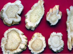 ������Ч��ʥɢ�Ĺ�Ч ������Ч��ʥɢ