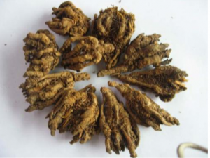 �������Ż����Ĺ�Ч �������Ż�������к���������ʹ