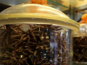 ƽθɢЩЧ ƽθɢ ̵ֹ