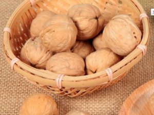 Ů�˶�Կ�˥�ϵ�ʳ��ɱ�������