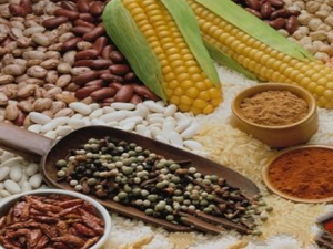 Ů�˶�������Щ�������� ����ʳ������Щ��