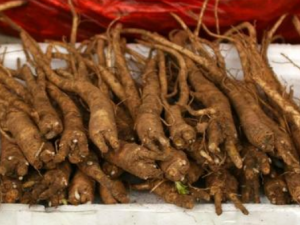 �۹�«ͷ�Ĺ�Ч �۹�«ͷ������������̵ʵ