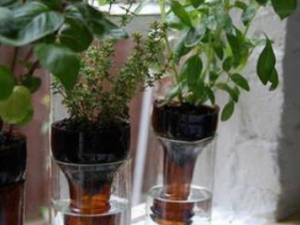 ��ƿ���Ĺ�Ч ��ƿ����С������