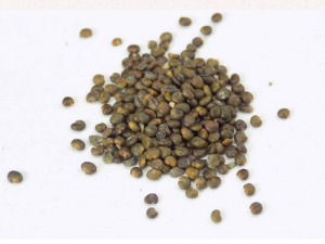 ��ҩɳԷ��޼�Ĺ�Ч ��ҩɳԷ��޼����������ʹ