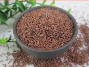 ��ҩ�����ӵĹ�Ч���� ��ҩ���������ھ��ҿ���