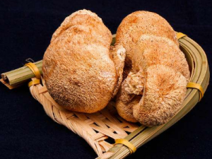 ͷĹЧЩ ͷнƢθĹЧ