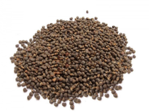 ����������ô������ ���������ʳ��