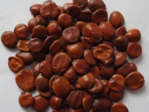 ���и�Ĺ�Ч���� ���и��β���Ѫ��