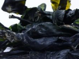 �����е�һЩСë���Լ�Ҳ�ܽ�� ��ѧ�ĸϽ���������