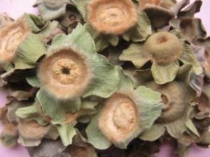 ��ҩ���ٵĹ�Ч���� ��ҩ������������