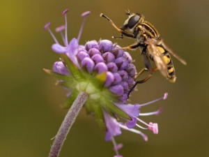 ��ͯ���û��������� ��֪����