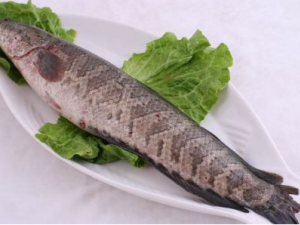 Ů�˳���ĺô� �������ܷ�����