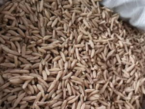 ��ҩ���ʲ�����Щ���� ��Ҫ���ʵ�����ע����