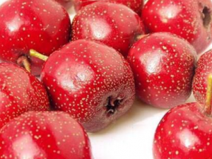 ����ж��Լ��Ƿ���Ѫ���� ����Ѫ�ؼ�Ҫ�з�