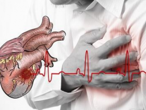 ���������ܲ�Ѫ�� �����εĲ�Ѫ����