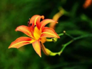 ���صĹ�Ч������ ���ؿɻ���ȥʪ����ɢ��