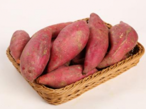 ����Ĺ�Ч���� �����μ���������