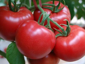 ��������������  ���������������ݹ�Ч��