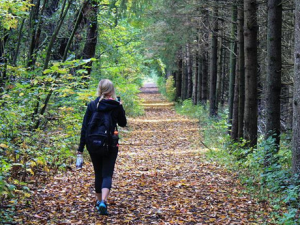 ���˲���������ô�� �������ѵ�ԭ��