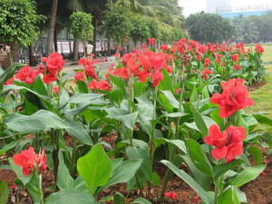 ���˽�����Щ��Ч ���˽����ڻ����ͼ��Դ�Ⱦ�Ը���