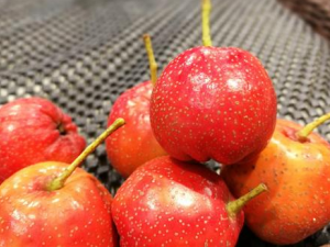 θ�������������Ҫע���� ������ˮ��Ҫ�ٳ�