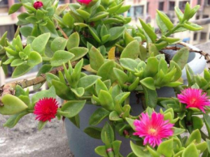 ĵ�����ߵĹ�Ч ĵ�����������˷���