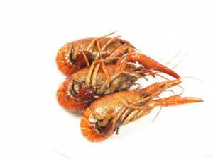 СϺҲᵼݿ СϺЩһҪ֪