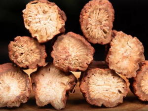 ������÷�������Ĺ�Ч ������÷����������Ѫ�龭��