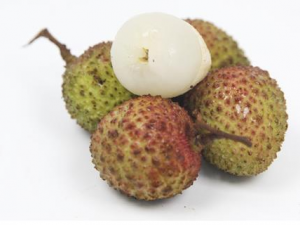 �ļ�����֦����ЩҪע��� �ļ�����֦�Ľ���