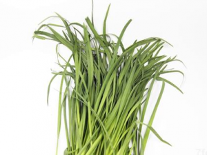 Ծ²˵ĺô Ծ²ҪעĽ