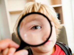 �۾���ҪҶ���صı���!Ҷ���صĹ�Ч���˽���?