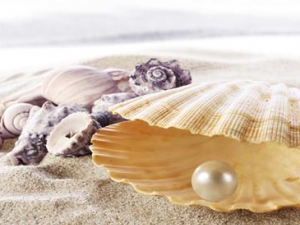 ����۵����ݹ�Ч ���ʹ�������������