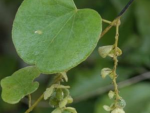 �ļ�����Ҫע����Щ���� �ļ�������ԭ��