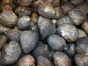 �����Ĺ�Ч���� �����ѡ����