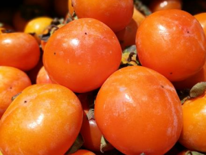 ������θ�۵�ԭ�� �����ӵĽ���